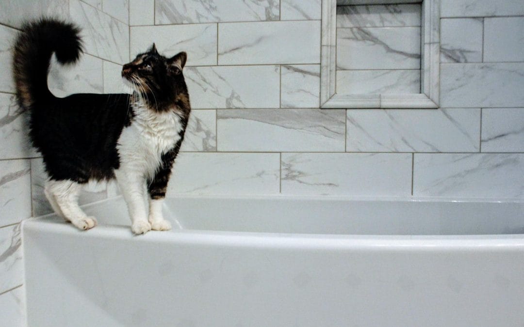 Creating a Relaxing Retreat: Master Bathroom Remodeling for Our Clients